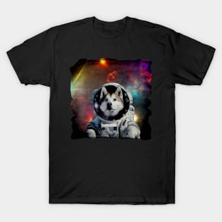 Boldly Go Where No Husky Has Before T-Shirt